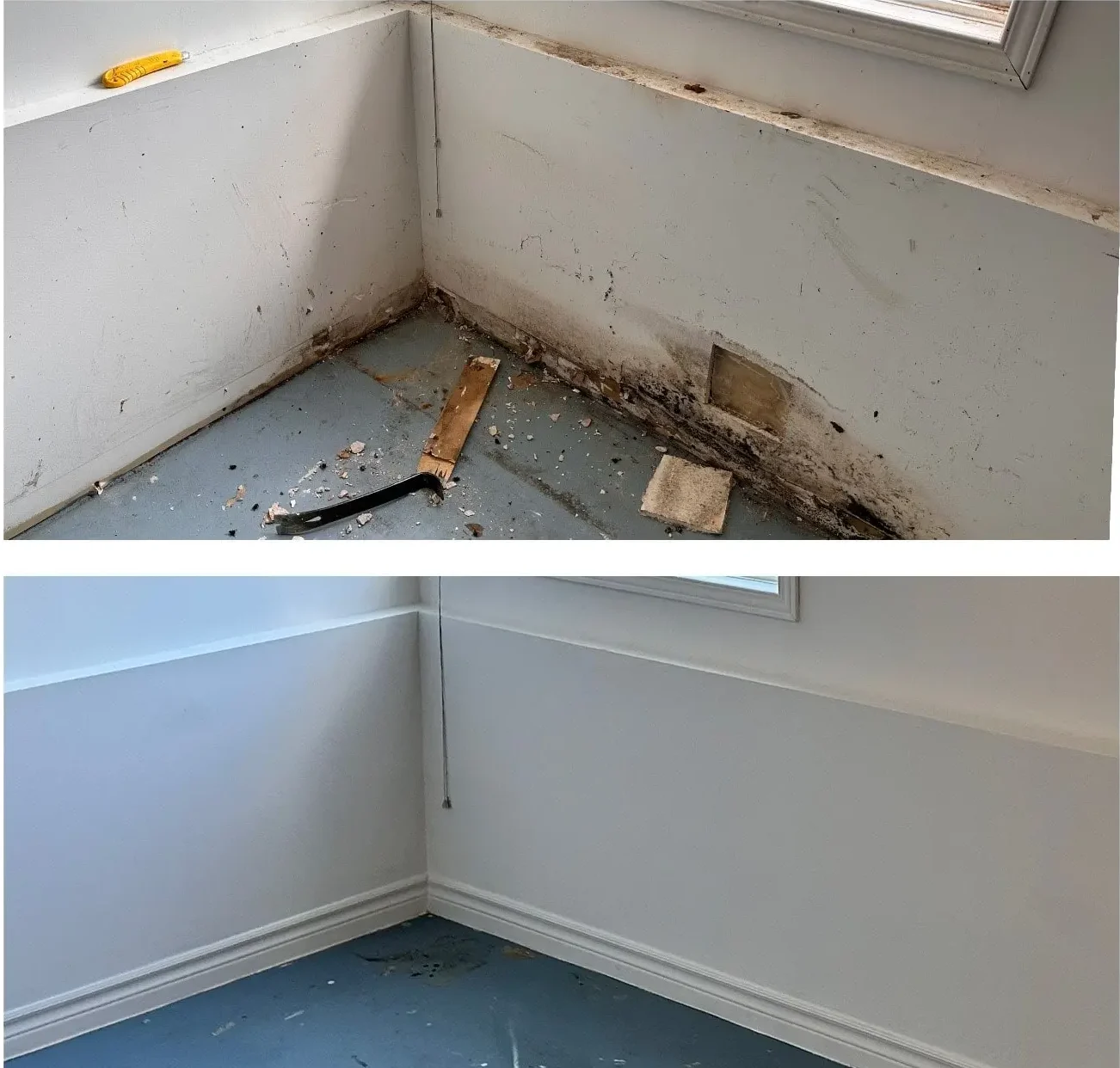 rec8 min e1748880034560